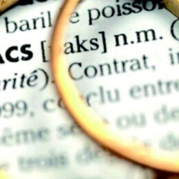 Le Pacte civil de solidarité (Pacs)