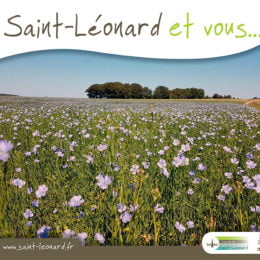 Saint-Léonard et Vous n°15