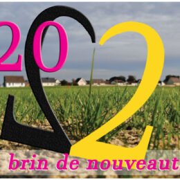 VOEUX DU MAIRE 2022