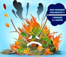 [ACTU’INFO ENVIRONNEMENT] : BRÛLAGE à l’air libre INTERDIT.