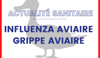 IMPORTANT : Information Influenza aviaire. Point de situation au 03/03/2023