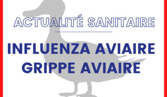 IMPORTANT : Information Influenza aviaire. Point de situation au 05/05/2023