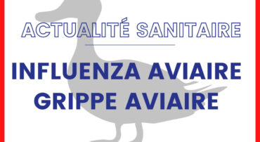 IMPORTANT : Information Influenza aviaire. Point de situation au 05/05/2023