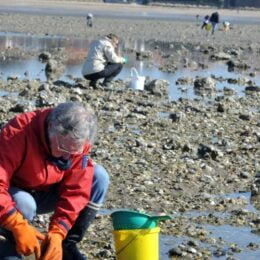 ACTU’PREF “ALERTE DINOPHYSIS” : PÊCHE INTERDITE.